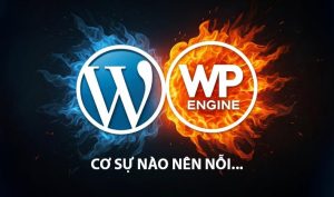 Tóm tắt Cuộc chiến WordPress vs WP Engine